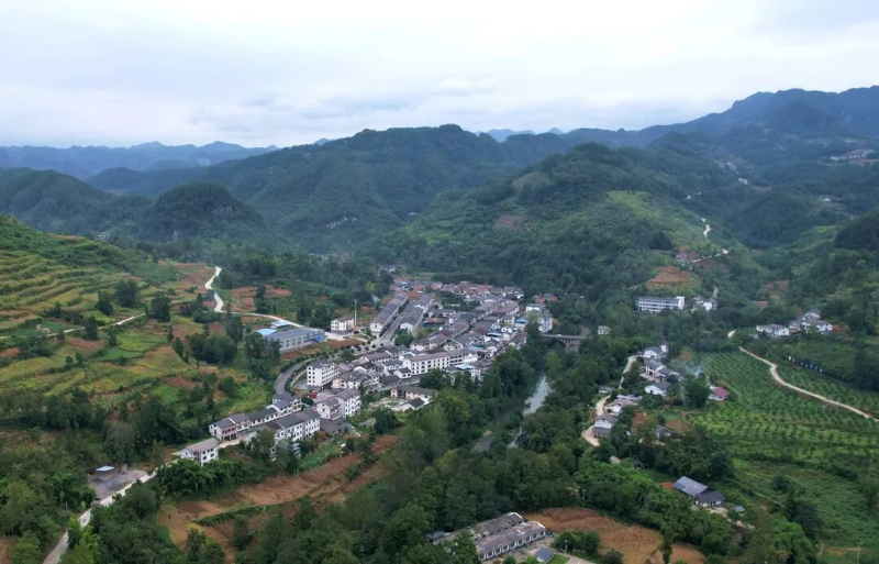  顺河村：黔渝共建的边贸小集镇 