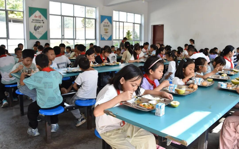  桃源小学：营养餐护航学生健康成长 