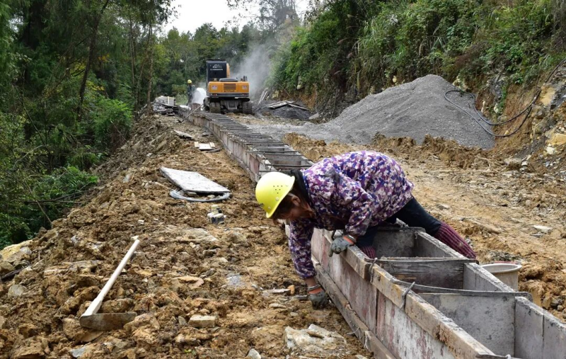  道真桑木坝村“以工代赈”项目建设有序推进 